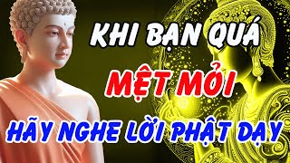 Khi Mọi Thứ Chống Lại Bạn: Hãy Ngồi Xuống và Nghe Lời Phật Dạy – Bí Quyết Buông Xả Để Tâm Được An