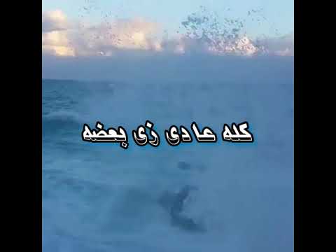 كله عادي زي بعضه اجمل حاله واتس 2021