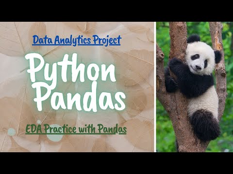 Python Pandas #reallifeexamples