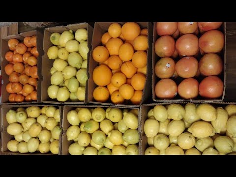 Bulk Citrus Order