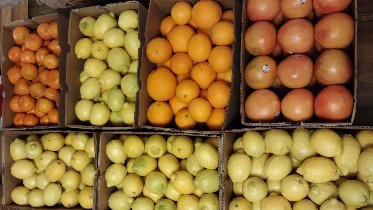 Bulk Citrus Order ~ Canning Beets ~ Freeze Dried Lemon Powder & Beetroot Powder ~ Frozen Lemon Juice