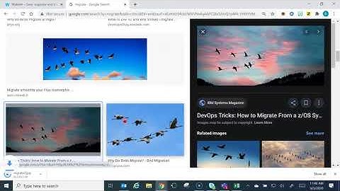 Add a Photo to a Wakelet
