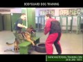 How To Train Your Dog - Protection Dog Training Classes How To Train Your Dog - Protection Dog Training Classes