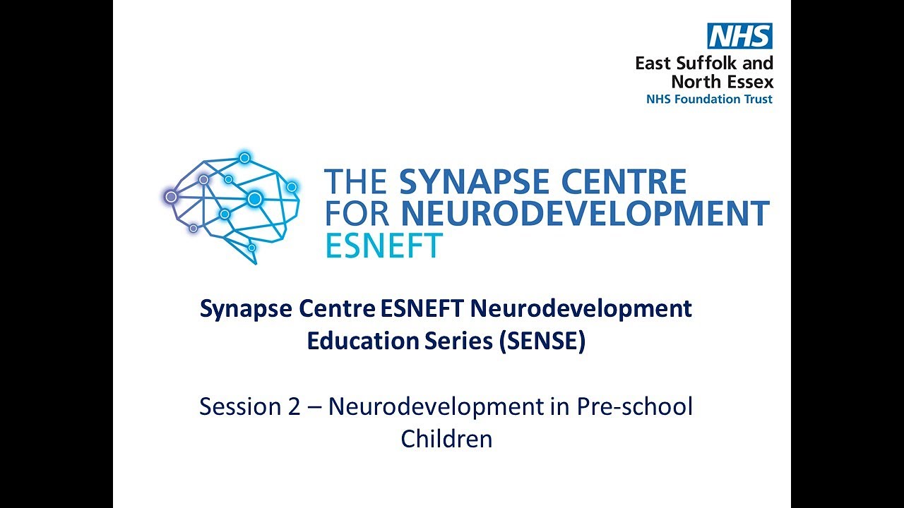 Synapse Centre SENSE 2 Neurodevelopment in Preschool children YouTube