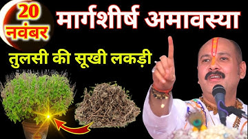 20 नवंबर मार्गशीर्ष अमावस्या, तुलसी की सूखी लकड़ी का उपाय जरूर करें Pradeep Ji Mishra