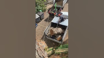 Rigging trunk sections straight into the truck with the winch #arborist #treework #treeremoval