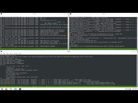 IP data transmission over 5G NR gNB + UE PAL setup
