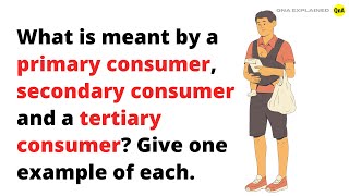 What is meant by a primary consumer, secondary consumer and a tertiary consumer. Give one example?