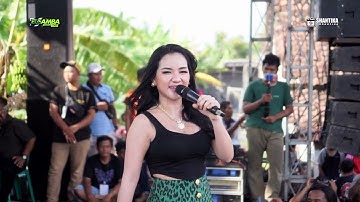 LALAWIDY// GANG DOLLY. //ELSAMBA dutcom BDS!!!??