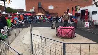 LIVE Ham and Yam Pig Racing, Experience Smithfield NC Annual Festivals
