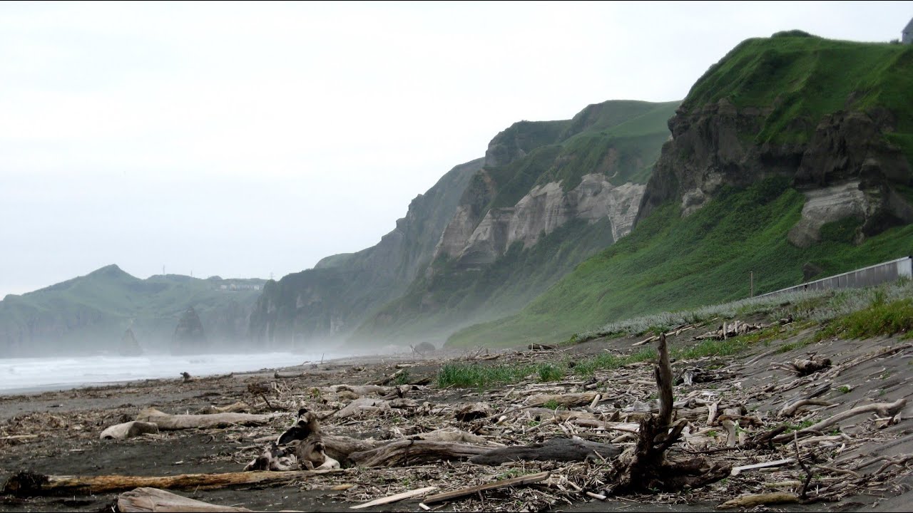 シャープ・ホークス 海へかえろう 歌詞&動画視聴 - 歌ネット