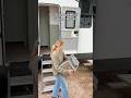 Family of 5 full time RV traveling. Us in a nutshell. #rvfamily