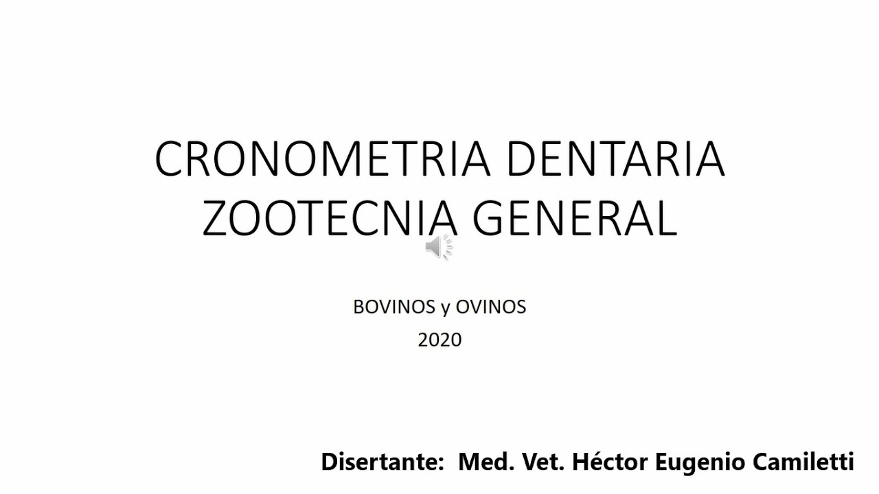 Clase virtual cronometria dentaria en bovino ovino youtube
