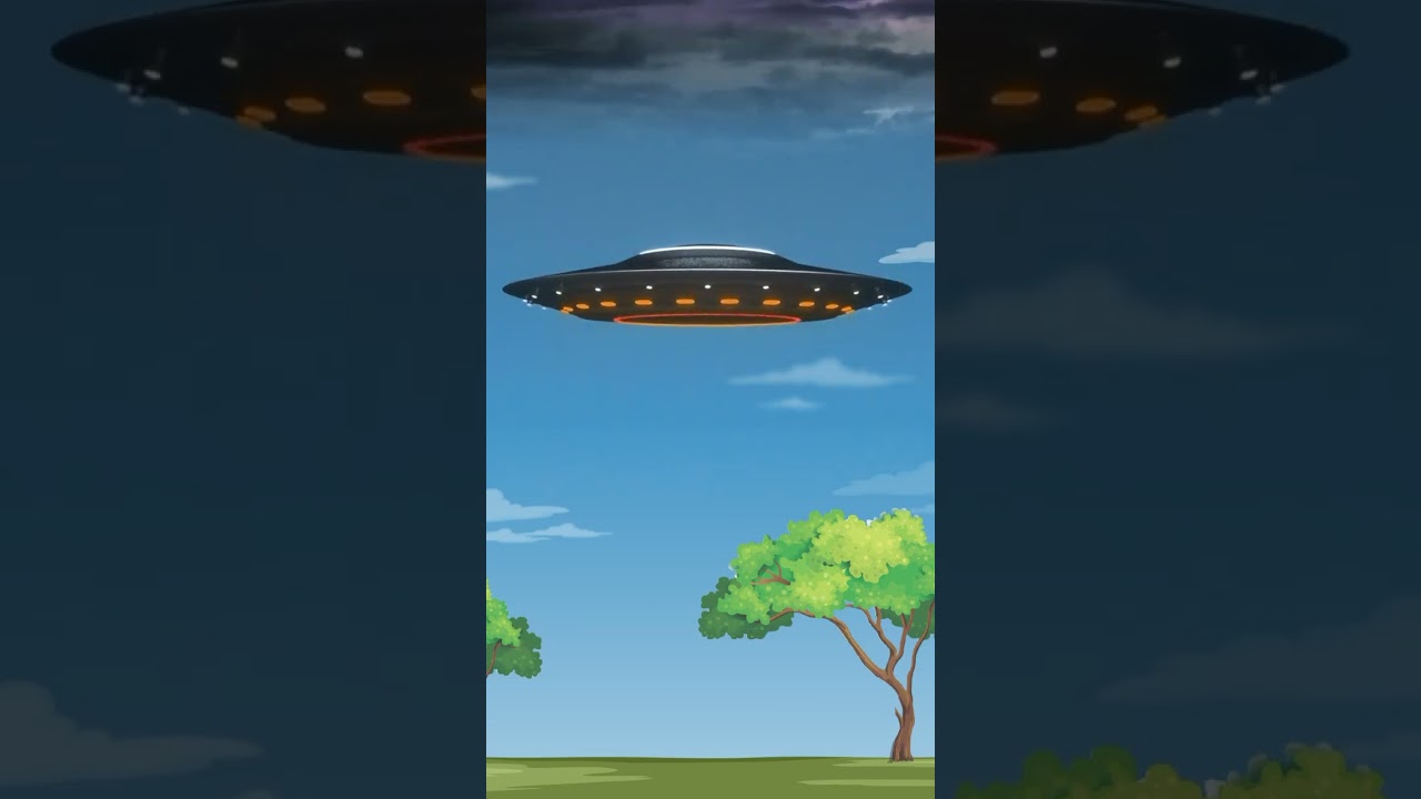 The Best Momo & Chinese Franchise Brand