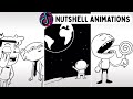 Nutshell Animations In A Nutshell | Tiktok Compilation 2020