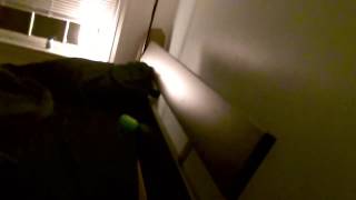 Maneesh demonstrates the Phillips Hue in action