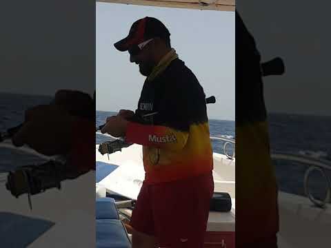 صيد الغزير في الشعيبة سمك الصرع بعمق 200 