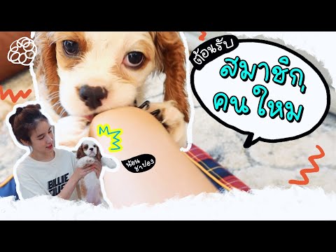 ดีใจมากกกก!! ต้อนรับสมาชิกใหม่ของบ้าน | Yoshi Rinrada