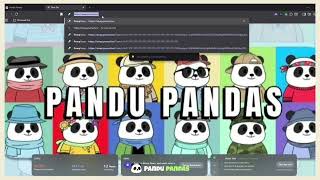 How to Use PumpSwap/PumpFun to Buy Pandu Tokens on Solana 🐼