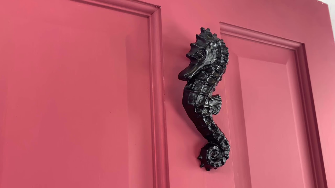 Black Cast Iron Effect Sea Horse Door Knocker camera iphone 8 plus apk