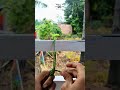 Simple hanging knot