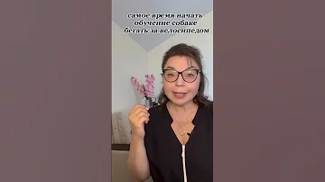 КАК УСПОКОИТЬ КОБЕЛЯ ВО ВРЕМЯ ТЕЧКИ У САМКИ?