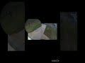 Crash otb #mtb #fullsendordontsend #jumps #send #mountainbike #bike #bikelife #crash #mtbcrash