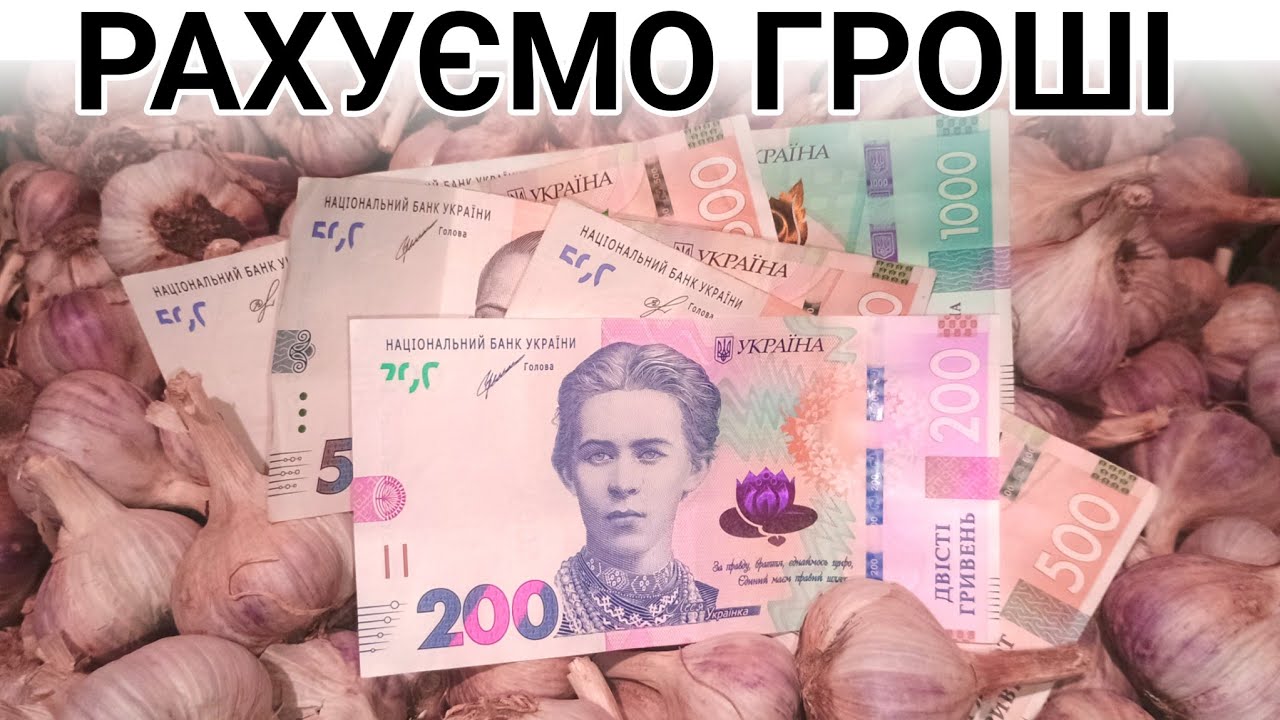 ВСЯ ПРАВДА ПРО ЗАРОБІТОК на часнику.