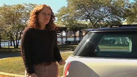 A Mini Lesson: How Small is a Nanometer?