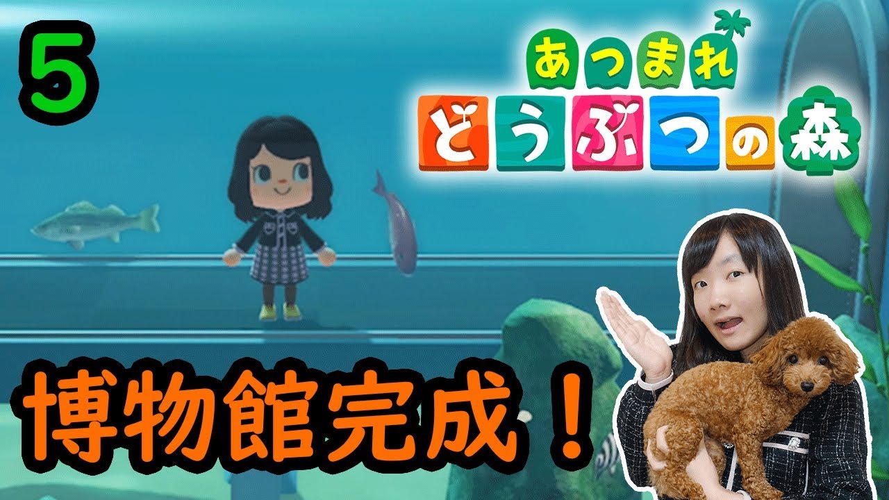 ★あつまれ　どうぶつの森　ゲーム実況⑤！～ひめちゃんとこちょの無人島生活パート５～★