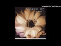 Top Floor Bottom Buzzer Morphine Lyrics