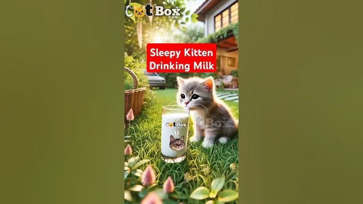 Sleepy Kitten Drinking Milk #cat #petlovers #funnycatvideos #funny #catlover #pets