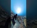 how many sharks have I not noticed when diving?