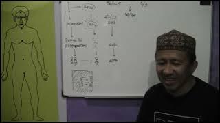 Kajian Dasar 10.  Tiga Hal yang harus diketahui seseorang yang ingin menjadi MUSLIM