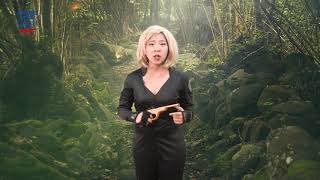 2019年04月號 Unit 2-1 Magic Box- 現在完成式