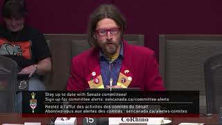 Longest Ballot spokesman stuns Senate with simple hockey metaphor