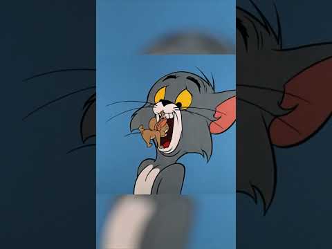 Cuando Tom es el lugar seguro 🛖 #TomyJerry 🐱🐭 #seriesclásicas Descubre más en #boing #shorts
