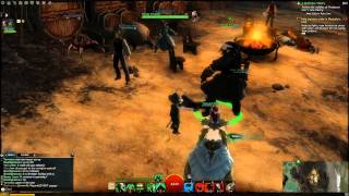 Guild Wars 2 - Sleepy Pirate Bug