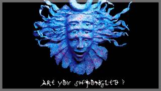 Shpongle - Behind Closed Eyelids