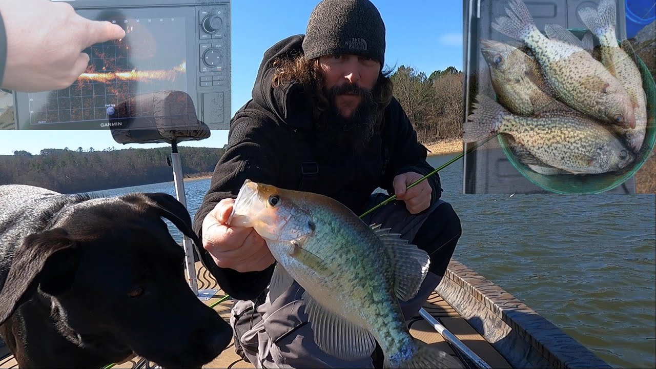 Catching crappie/bass/hybrids on Lake Degray. Good batch of fish 