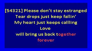Roy Ayers  - Love Will Bring Us Back Together (karaoke)