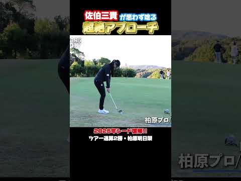 柏原明日架がアプローチで魅せる!!　#ゴルフ #柏原明日架 #佐伯三貴 #佐伯三貴ゴルフchannel