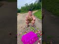 Kỹ năng sinh tồn: Kẹo 🍭👁🍭 Đơn giản nhưng hữu ích #survival #bushcraft #camping #outdoors #useful