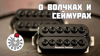 О волчках и Сеймурах