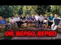 УКРАЇНСЬКА НАРОДНА ПІСНЯ - ОЙ, ВЕРБО, ВЕРБО