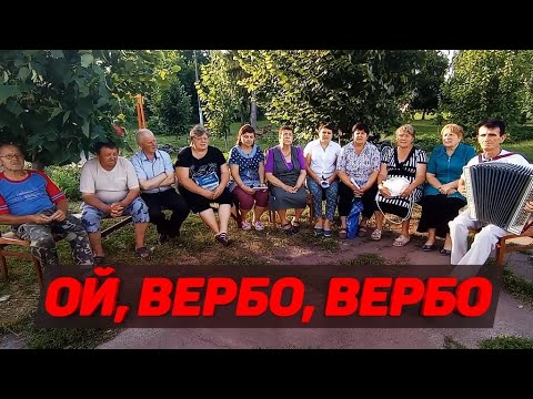 УКРАЇНСЬКА НАРОДНА ПІСНЯ ОЙ ВЕРБО ВЕРБО 