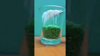 🇮🇳Indian flag using rice | I Love My India🇮🇳| 🇮🇳Republic Day Drawing #shorts #reverse #viral#riceart