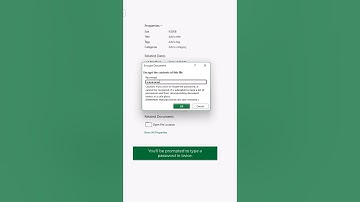 Password Protect an Excel File