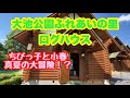【小春の夏休み】大池公園ふれあいの里ログハウスに泊まってみたら一睡も出来なかったんですけど...【犬とお出かけ】