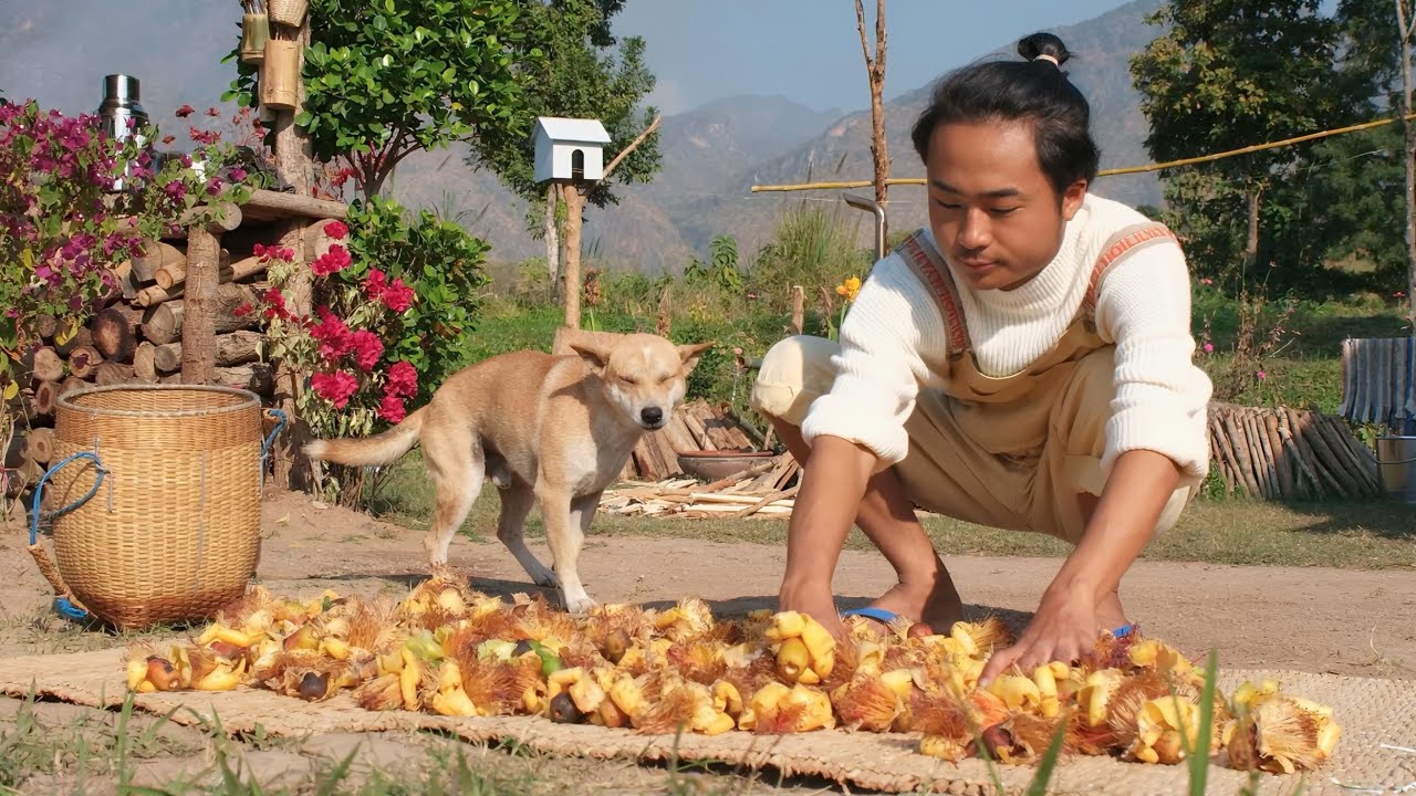 Hello 2026 welcome back to The Burmese Natural Life Channel